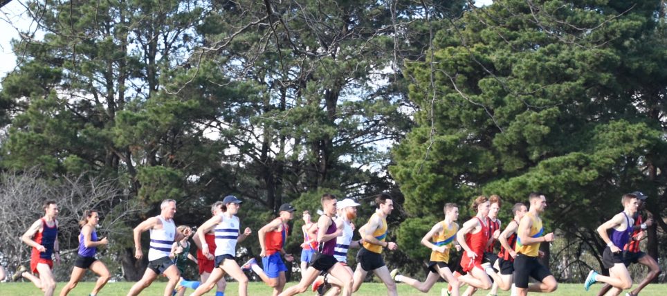 Skevvies double dose at the Hooley