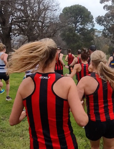 Old Xavs dominate small Cooke-McClelland field